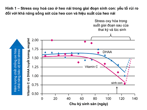ADJUSTING NUTRITION FOR SOWS DURING THE FARROWING TRANSITION PHASE