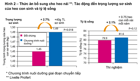 ADJUSTING NUTRITION FOR SOWS DURING THE FARROWING TRANSITION PHASE